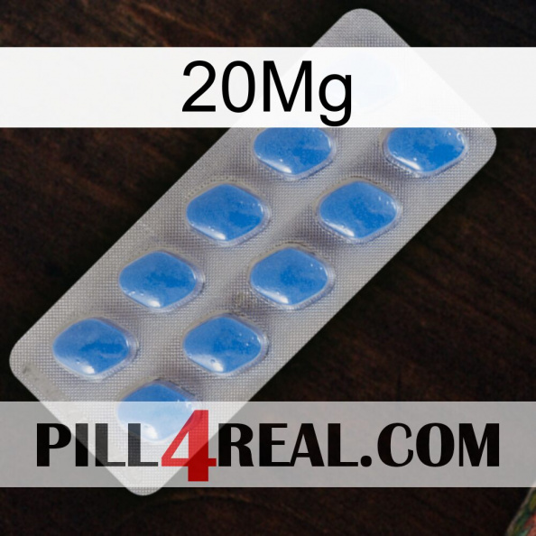 20Mg 22.jpg